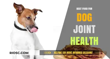 Nutritious Bites for Better Joints: Top Foods to Support Your Dog's Joint Health
