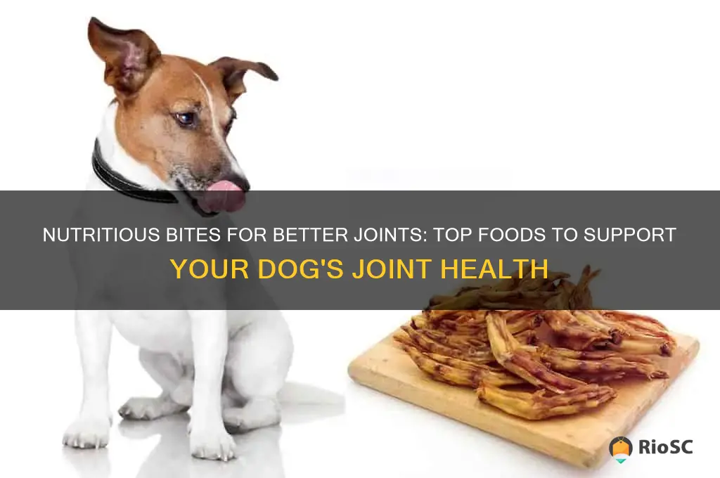 best food for dog joint health
