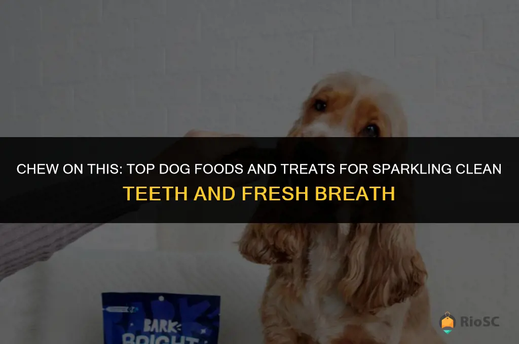 best food for dog teeth cleaning