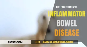 Soothing Solutions: Top Foods to Manage Inflammatory Bowel Disease in Dogs