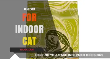 Whiskers' Delight: Unveiling the Ultimate Indoor Cat Cuisine