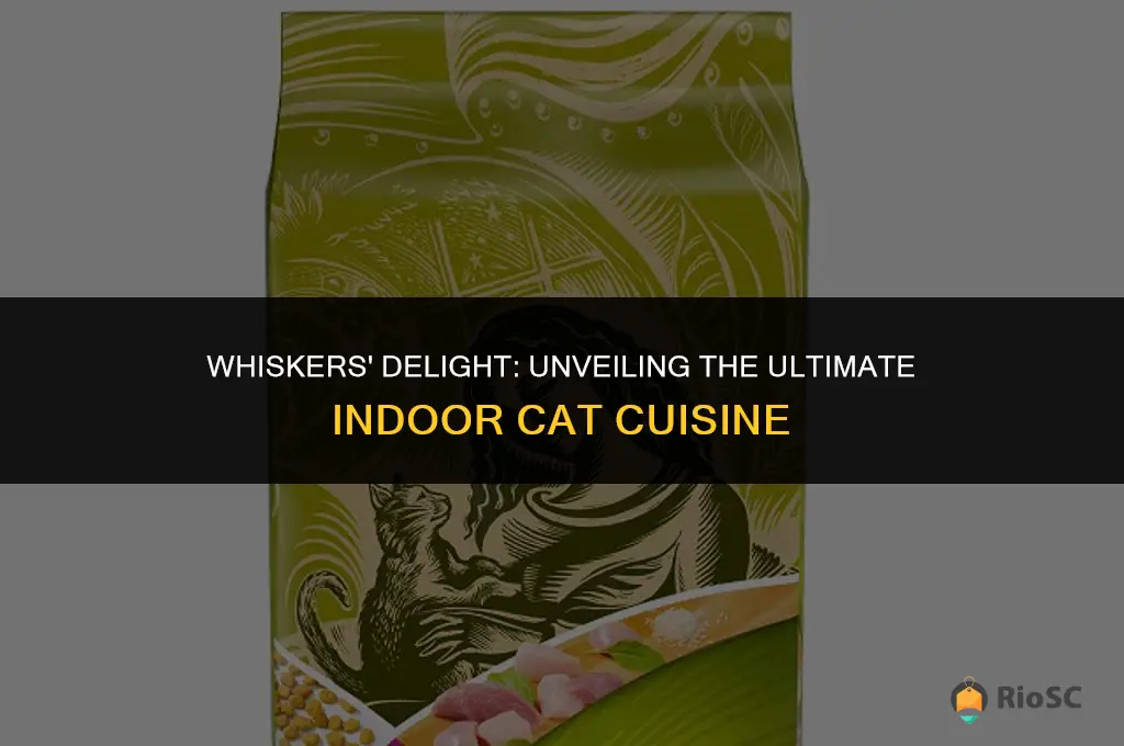 best food for indoor cat