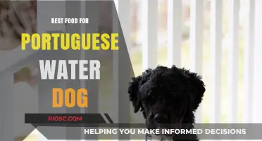 Nutritious and Delicious: Top Food Choices for Your Portuguese Water Dog's Health and Vitality