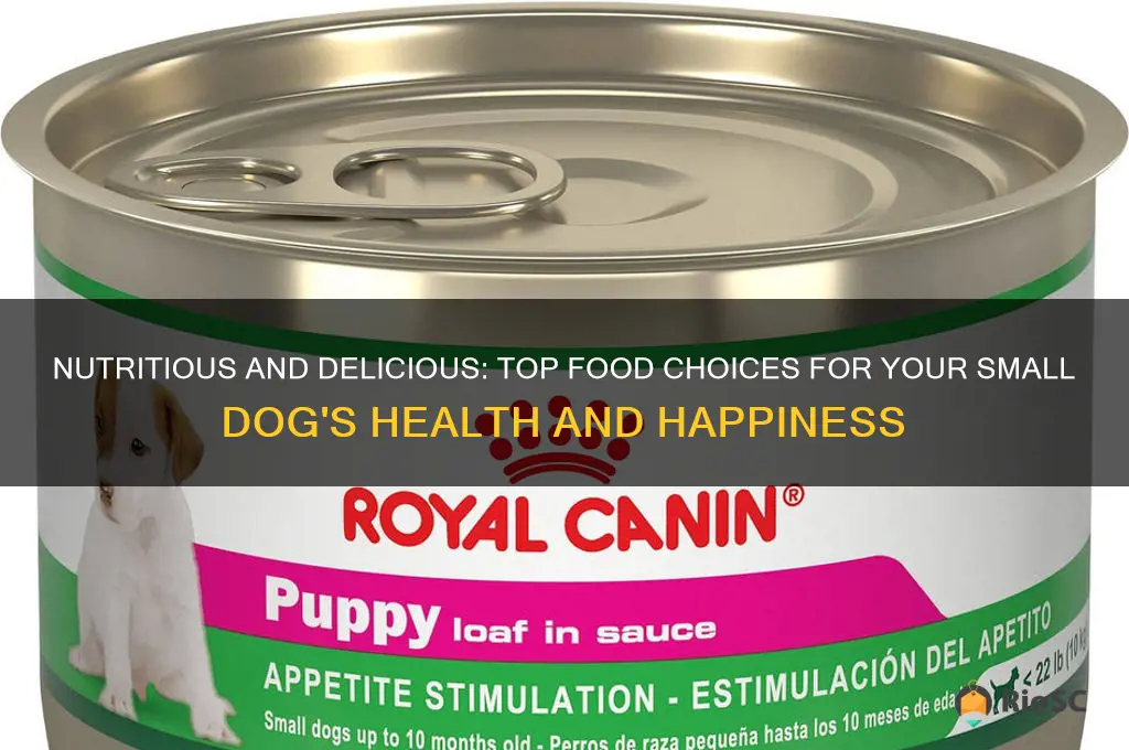 best food for small dog