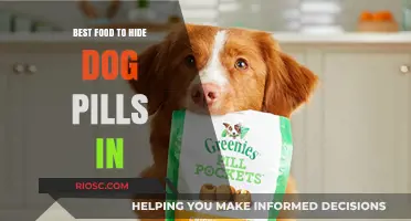 Sneaky Treats: The Ultimate Guide to Hiding Dog Pills in Food
