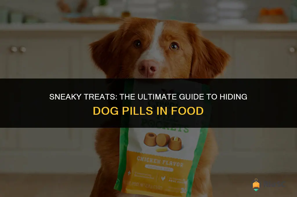 best food to hide dog pills in