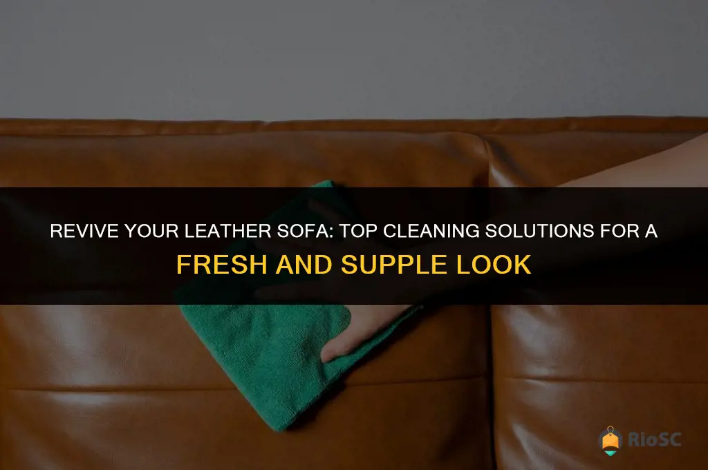 best for cleaning leather sofa