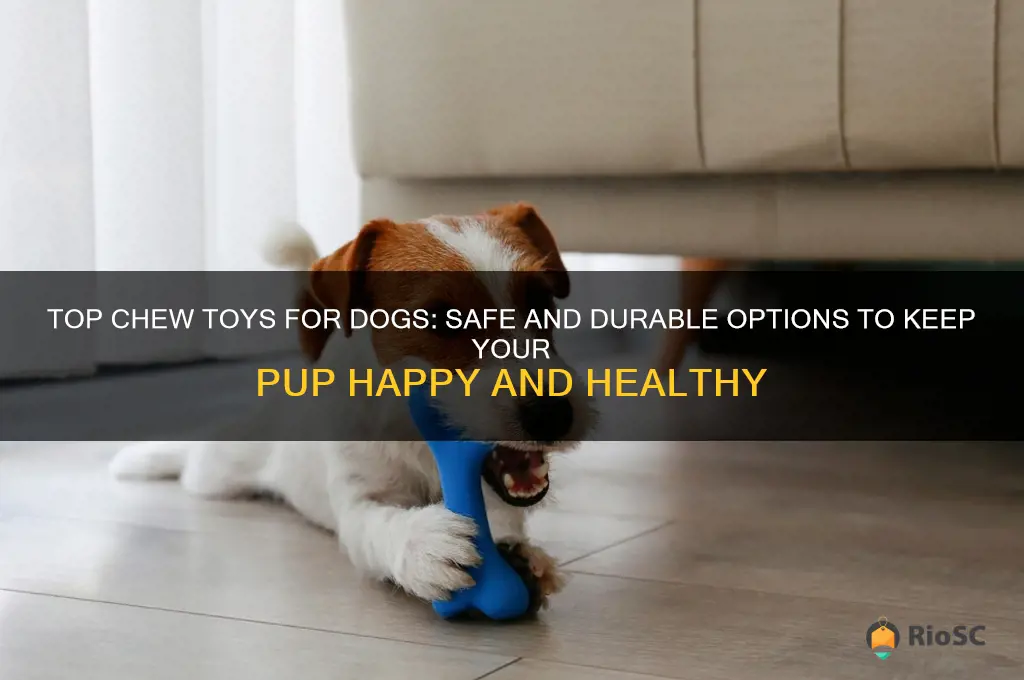 best for dog to chew