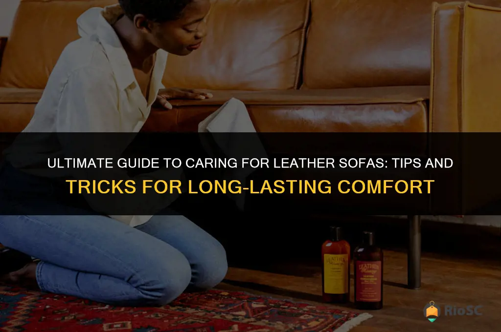 best for leather sofas