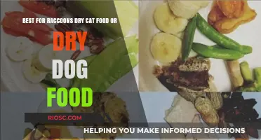 Exploring the Best Options: Dry Cat Food vs. Dry Dog Food for Raccoons