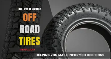 Top Off-Road Tires That Deliver Unmatched Performance Without Breaking the Bank