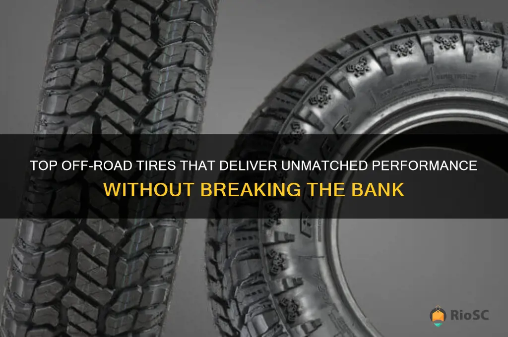 best for the money off road tires