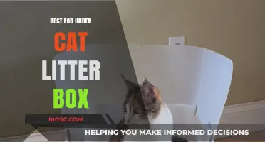 Top Picks for Under-Cat Litter Box Solutions: Keep Your Space Clean and Odor-Free