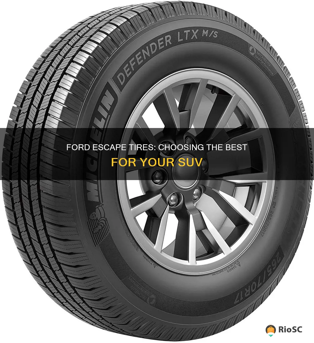 best ford escape tires