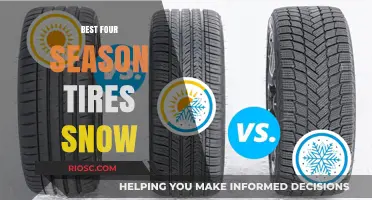Top-Rated Four-Season Tires for Snow: Stay Safe and Mobile All Year Round