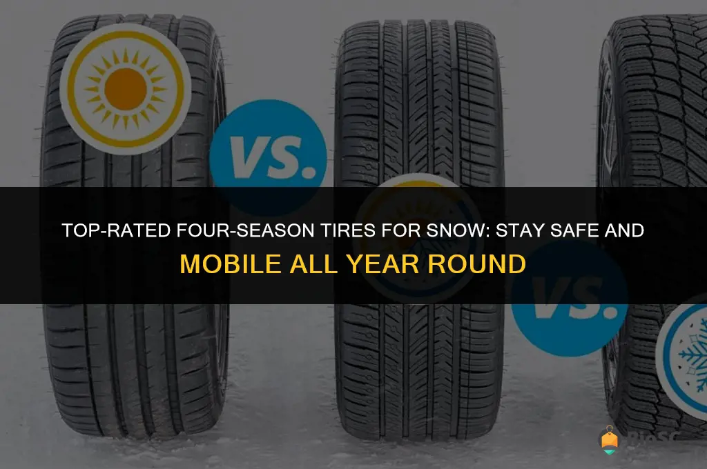 best four season tires snow