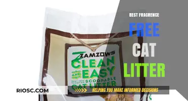 Top Fragrance-Free Cat Litter Options for a Fresh and Odor-Free Home