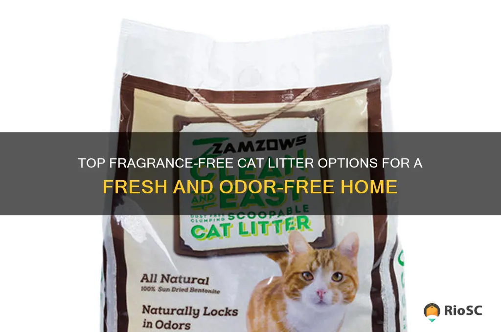 best fragrence free cat litter