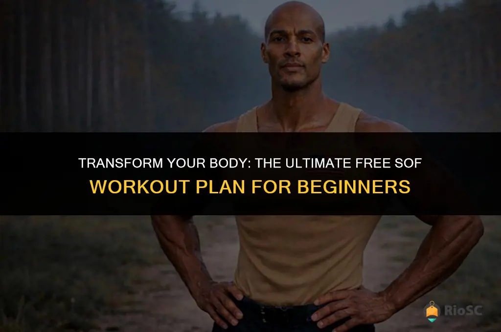 best free sof workout plan