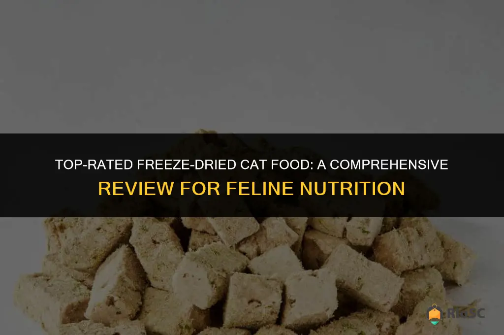 best freeze dried cat food reviews