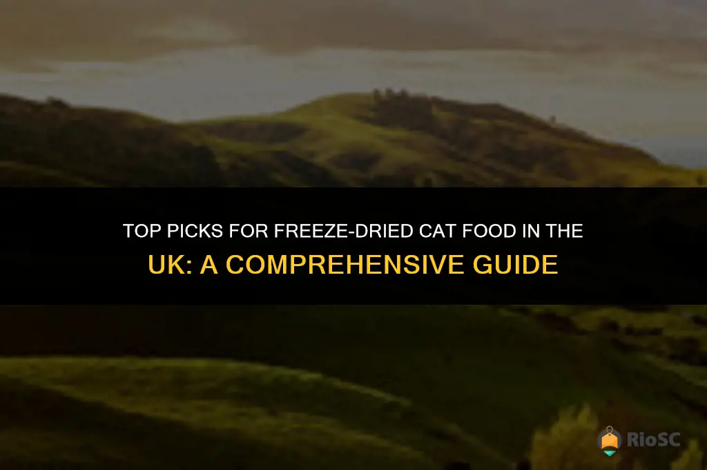 best freeze-dried cat food uk