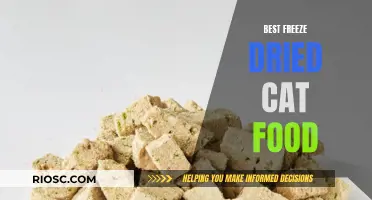 Top Picks for Freeze-Dried Cat Food: Nutritious and Delicious Options for Your Feline Friend
