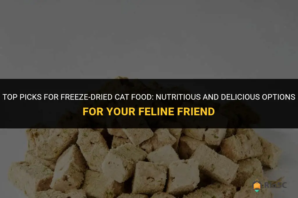 best freeze dried cat food