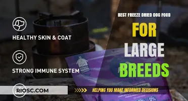 Top-Rated Freeze-Dried Dog Food Options for Large Breeds: Nutrition and Quality Compared