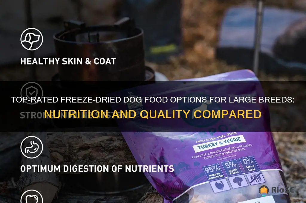 best freeze dried dog food for large breeds