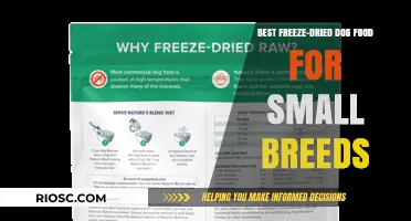Top-Rated Freeze-Dried Dog Food Options for Small Breeds: Nutrition and Taste Combined