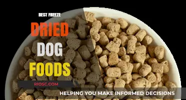 Top Freeze-Dried Dog Foods: Nutritious and Convenient Options for Your Canine Companion