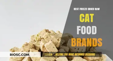 Top-Rated Freeze-Dried Raw Cat Food Brands: A Comprehensive Guide for Pet Owners