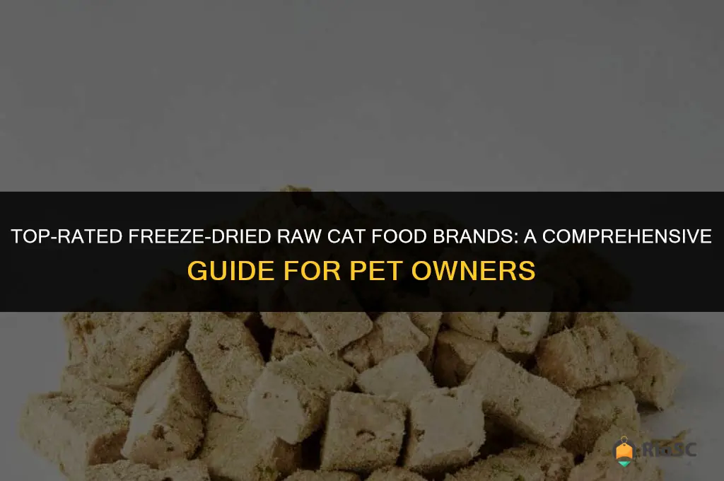 best freeze dried raw cat food brands