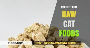 Top Picks for Your Feline Friend: The Best Freeze-Dried Raw Cat Foods on the Market