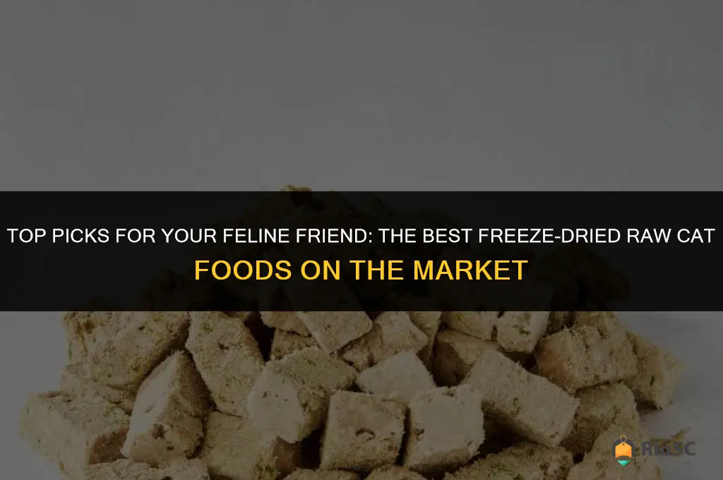 best freeze-dried raw cat foods