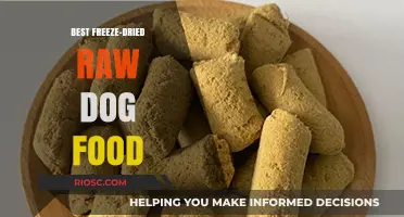 Top Picks for Premium Freeze-Dried Raw Dog Food: Nutritious and Convenient Options for Your Canine Companion