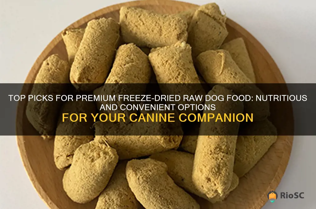 best freeze-dried raw dog food