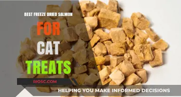 Top Freeze-Dried Salmon Treats for Cats: A Comprehensive Guide
