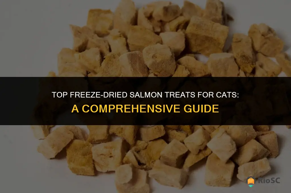 best freeze dried salmon for cat treats
