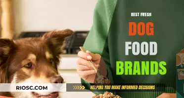 Top Fresh Dog Food Brands: A Comprehensive Guide for Pet Owners
