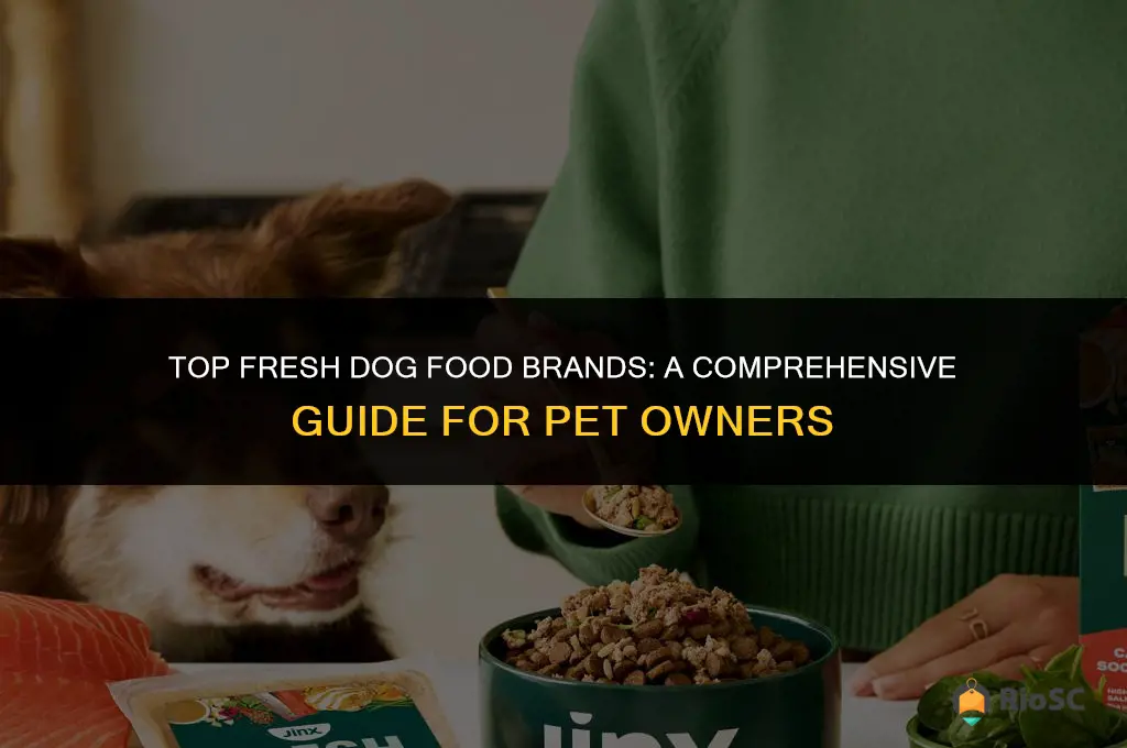 best fresh dog food brands