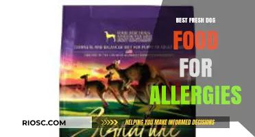 Allergy-Friendly Fresh Dog Food: Top Picks for Sensitive Stomachs and Itchy Coats