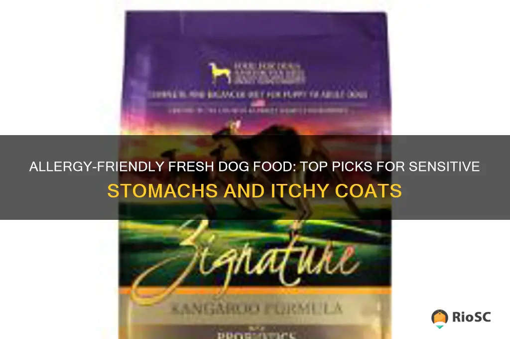 best fresh dog food for allergies