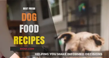 Wholesome Bites: Fresh Dog Food Recipes for a Healthier Pup