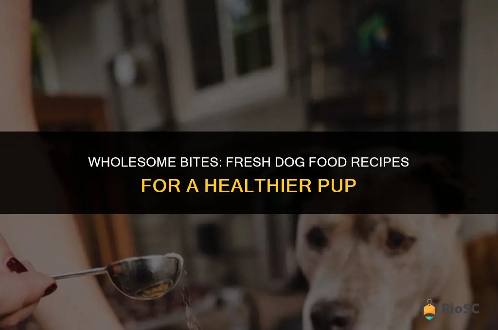 best fresh dog food recipes