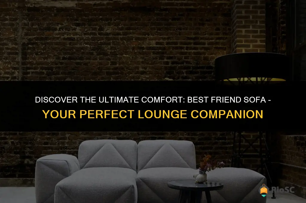 best friend sofa