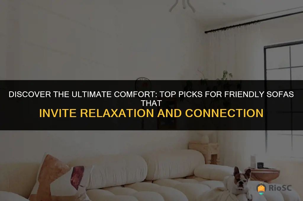 best friendly sofas
