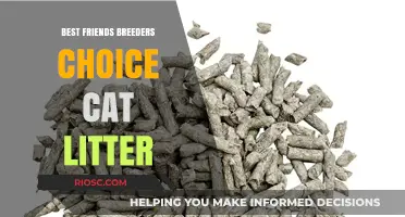 Why Best Friends Breeders Choice Cat Litter is the Top Pick for Feline Families