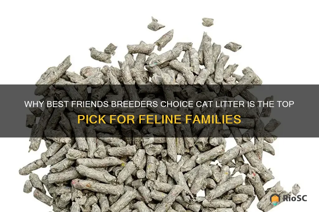 best friends breeders choice cat litter