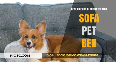 Ultimate Comfort for Your Furry Friend: Best Friends by Sheri Bolster Sofa Pet Bed Review